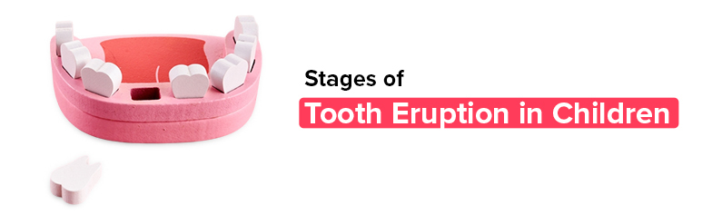 best dentist in chennai