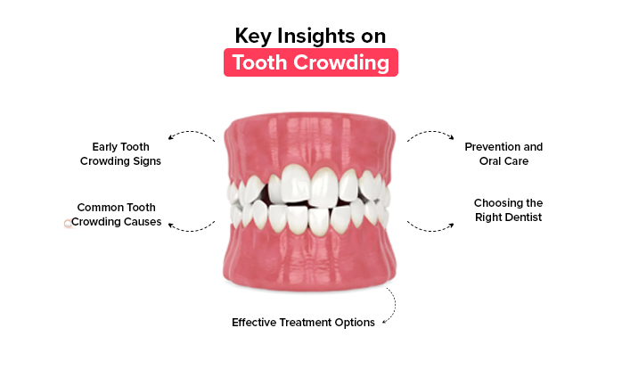 best dentist in chennai