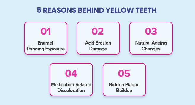 best dentist in chennai